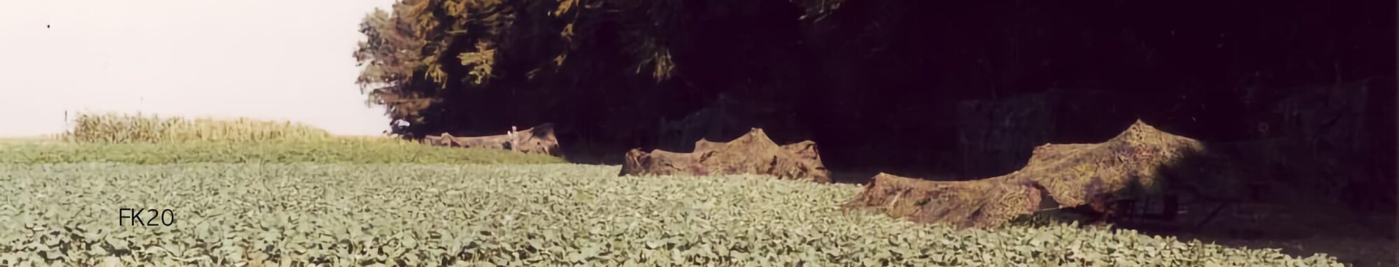 topbild_fraenkischer_schild_ph